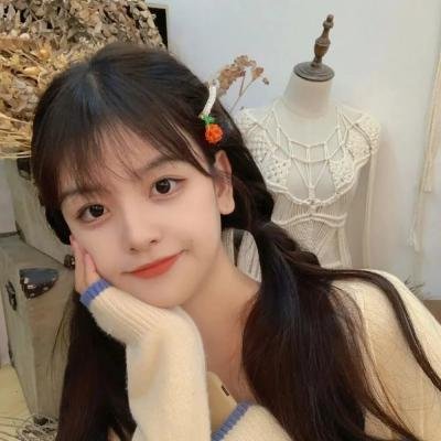 少奇同志在东北